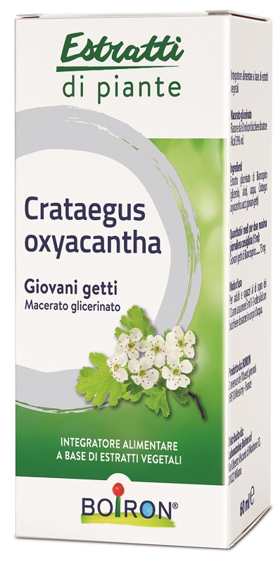CRATAEGUS OXYACANTHA MACERATO GLICERICO 60 ML INT - Farmacia-flash.it