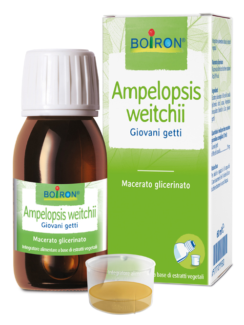 AMPELOPSIS WEITCHII MACERATO GLICERICO 60 ML INT - Farmacia-flash.it