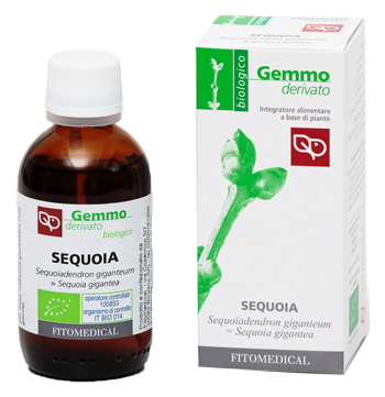 SEQUOIA MACERATO GLICERICO 50 ML BIO - Farmacia-flash.it