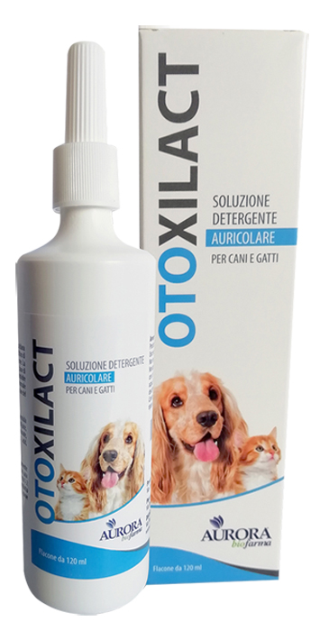 OTOXILACT DETERGENTE AURICOLARE - Farmacia-flash.it