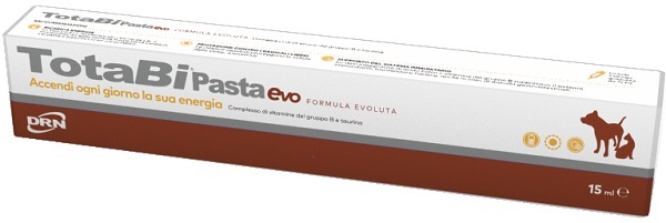 TOTABI PASTA 15 ML - Farmacia-flash.it