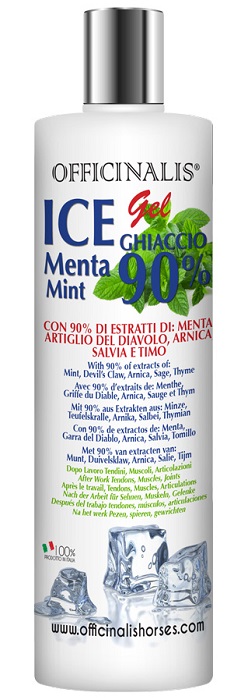 ICE GEL 90% 250 ML - Farmacia-flash.it