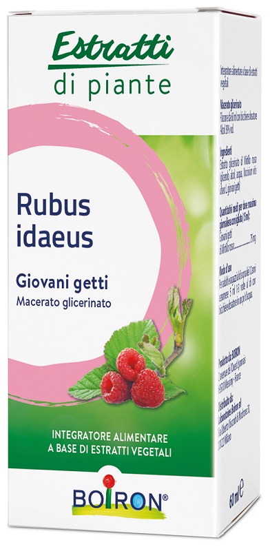 RUBUS IDAEUS GIOVANI GETTI ESTRATTO IDROALCOLICO 60 ML - Farmacia-flash.it
