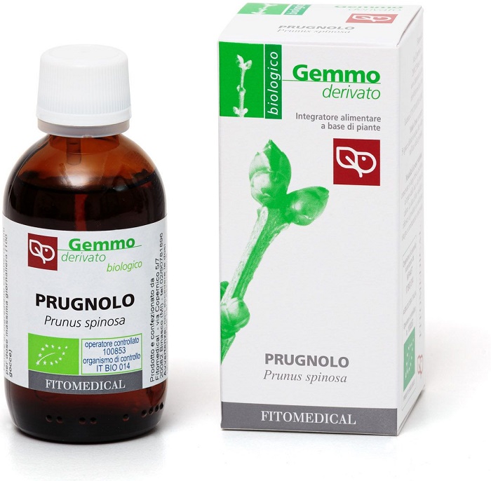 PRUGNOLO MACERATO GLICERICO 50 ML BIO - Farmacia-flash.it