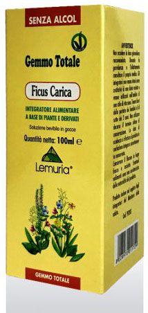 FICUS CARICA 100 ML - Farmacia-flash.it