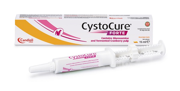 CYSTOCURE FORTE PASTA 15 ML - Farmacia-flash.it