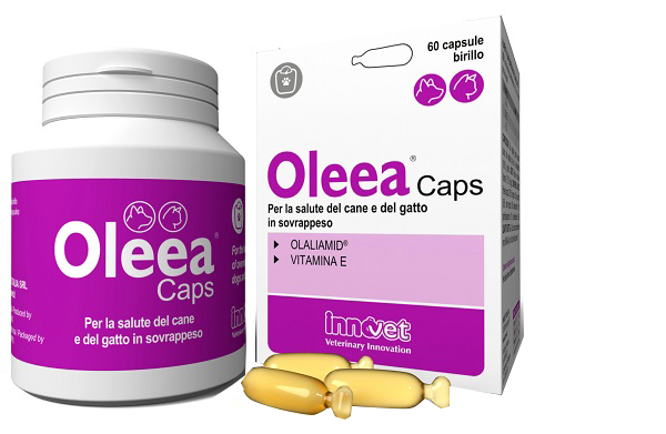 OLEEA CAPS 60 CAPSULE - Farmacia-flash.it