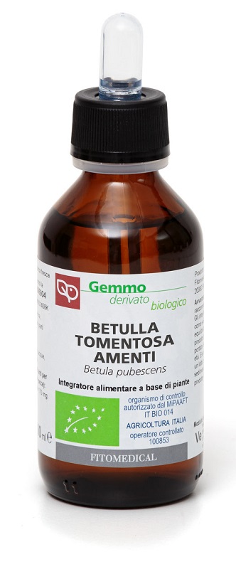 BETULLA PUBESCENS AMENTI MACERATO GLICERICO 100 ML BIO - Farmacia-flash.it