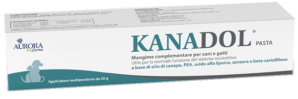 KANADOL PASTA 30 G - Farmacia-flash.it