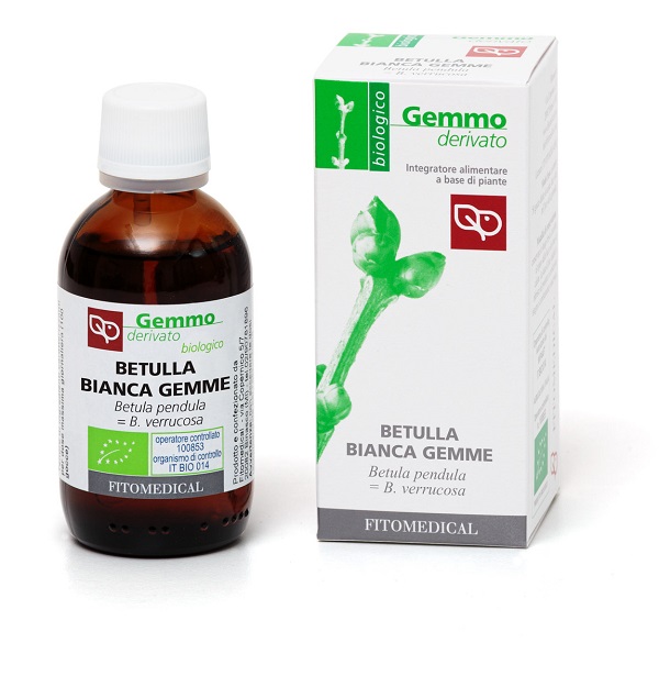 BETULLA BIANCA GEMME MACERATO GLICERICO 50 ML BIO - Farmacia-flash.it