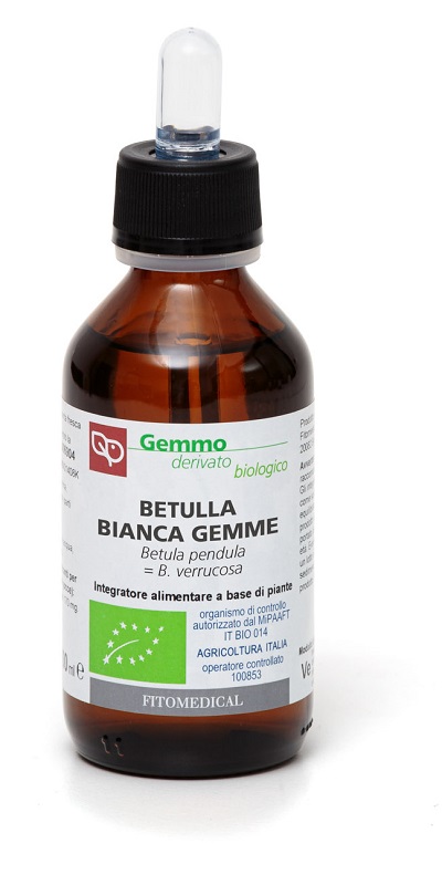 BETULLA BIANCA GEMME MACERATO GLICERICO 100 ML BIO - Farmacia-flash.it