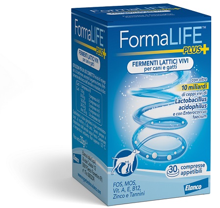 FORMALIFE PLUS FERMENTI LATTICI VIVI 30 COMPRESSE APPETIBILI - Farmacia-flash.it