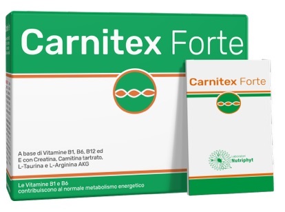 CARNITEX FORTE 14 BUSTINE - Farmacia-flash.it
