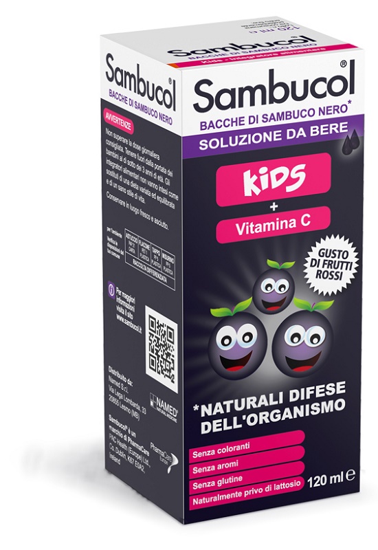 SAMBUCOL SOLUZIONE DA BERE KIDS 120 ML - Farmacia-flash.it