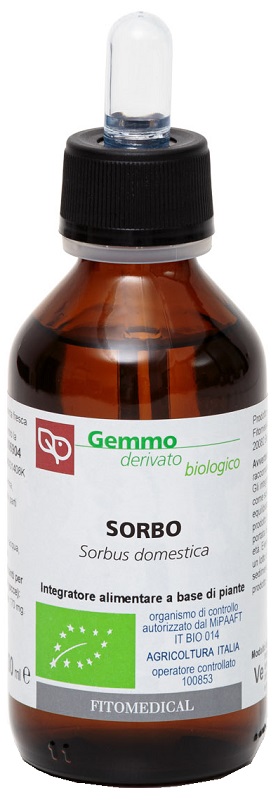 SORBO MACERATO GLICERICO 100 ML BIO - Farmacia-flash.it