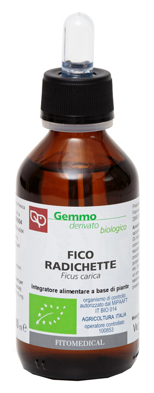 FICO RADICHETTE MACERATO GLICERICO 100 ML BIO - Farmacia-flash.it