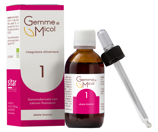 GEMME DI MICOL SOLUZIONE IDROGLICERALCOLICA 1 30 ML - Farmacia-flash.it