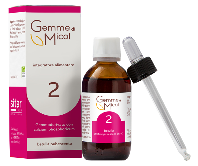 GEMME DI MICOL SOLUZIONE IDROGLICERALCOLICA 2 30 ML - Farmacia-flash.it