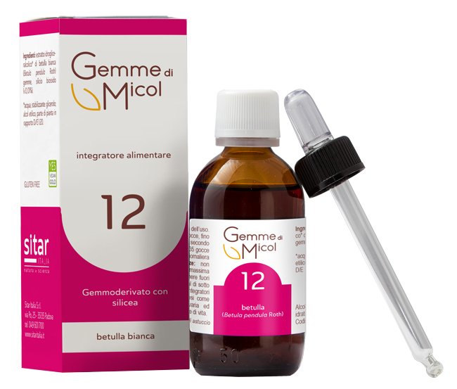 GEMME DI MICOL SOLUZIONE IDROGLICERALCOLICA 12 30 ML - Farmacia-flash.it