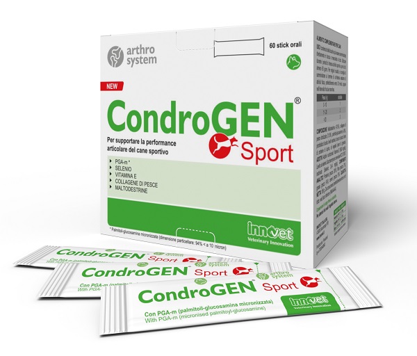 CONDROGEN SPORT 60 STICK - Farmacia-flash.it
